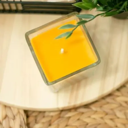 Chic&cozy In Apartament Nesebyr